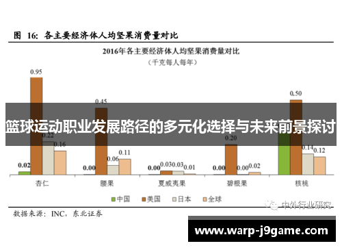 篮球运动职业发展路径的多元化选择与未来前景探讨