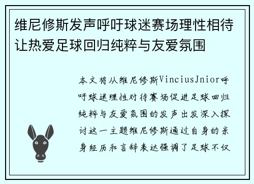 维尼修斯发声呼吁球迷赛场理性相待让热爱足球回归纯粹与友爱氛围